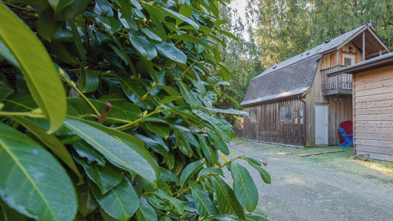 Photo of Outdoor in Shawnigan Lake