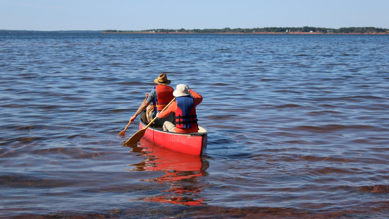 Photo of Others in DeGros Marsh