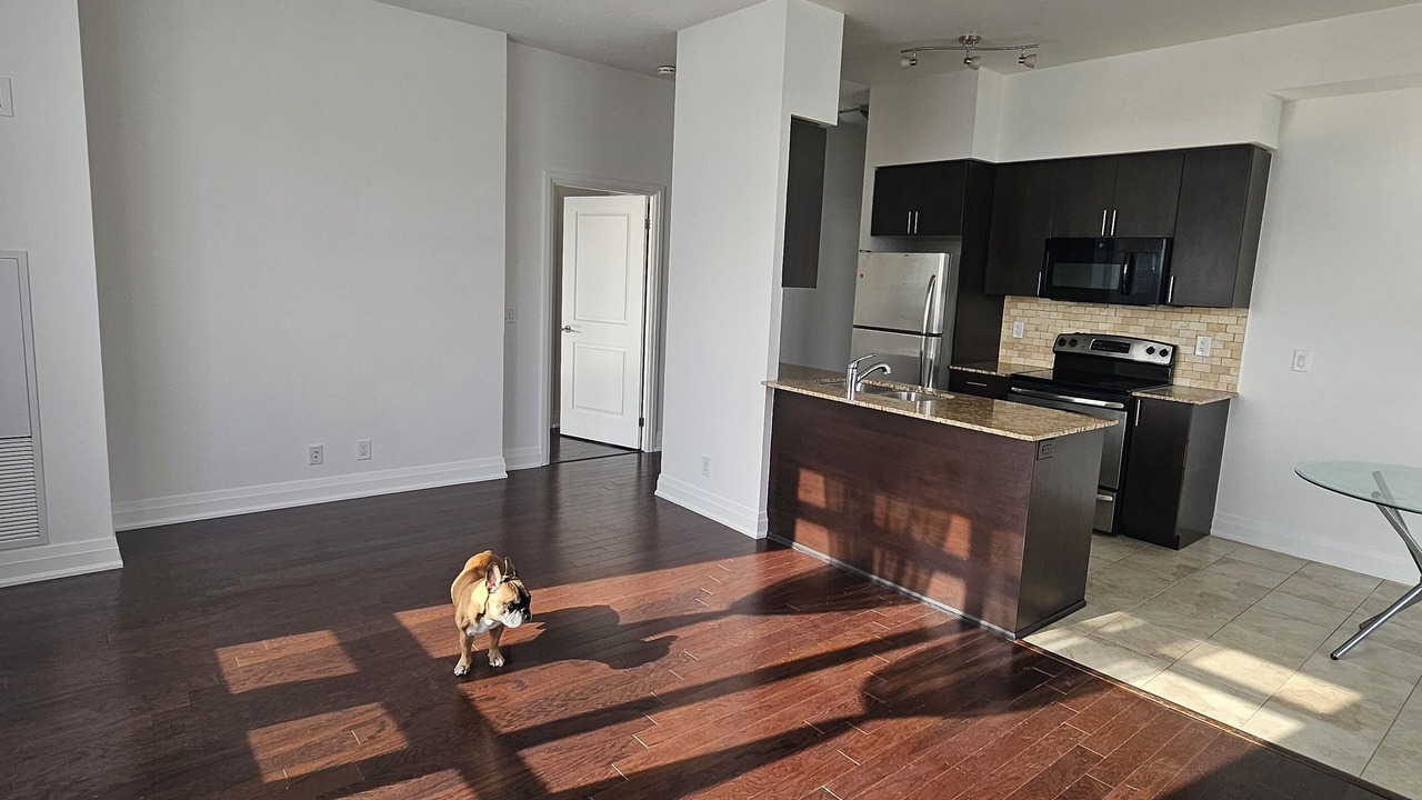 Photo of Kitchen in Newtonbrook