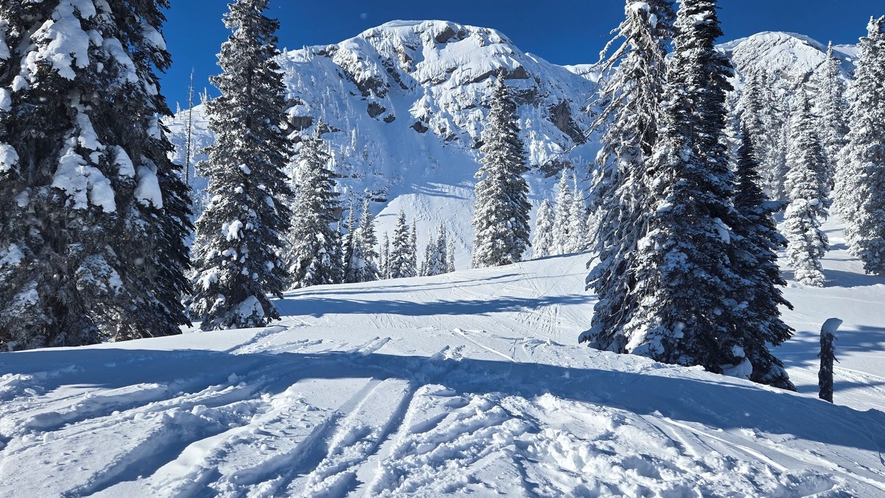 Photo of Others in East Kootenay