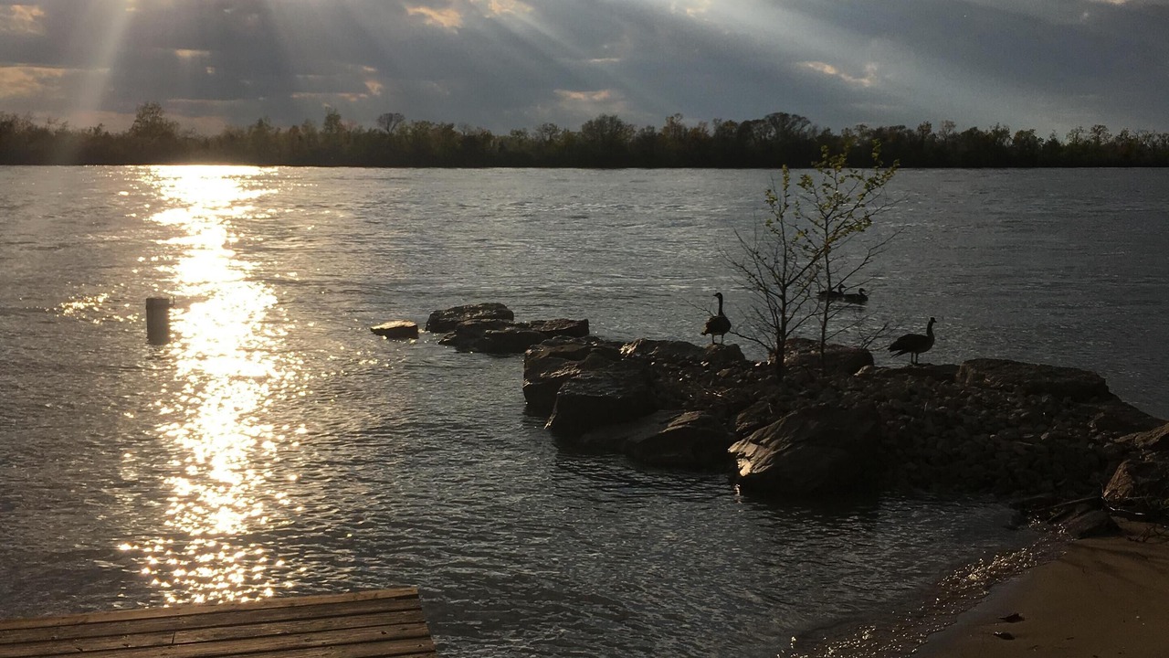 Photo of Others in Amherstburg