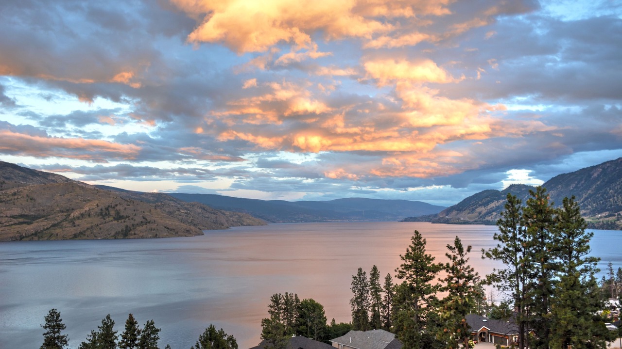 Photo of Others in Central Okanagan