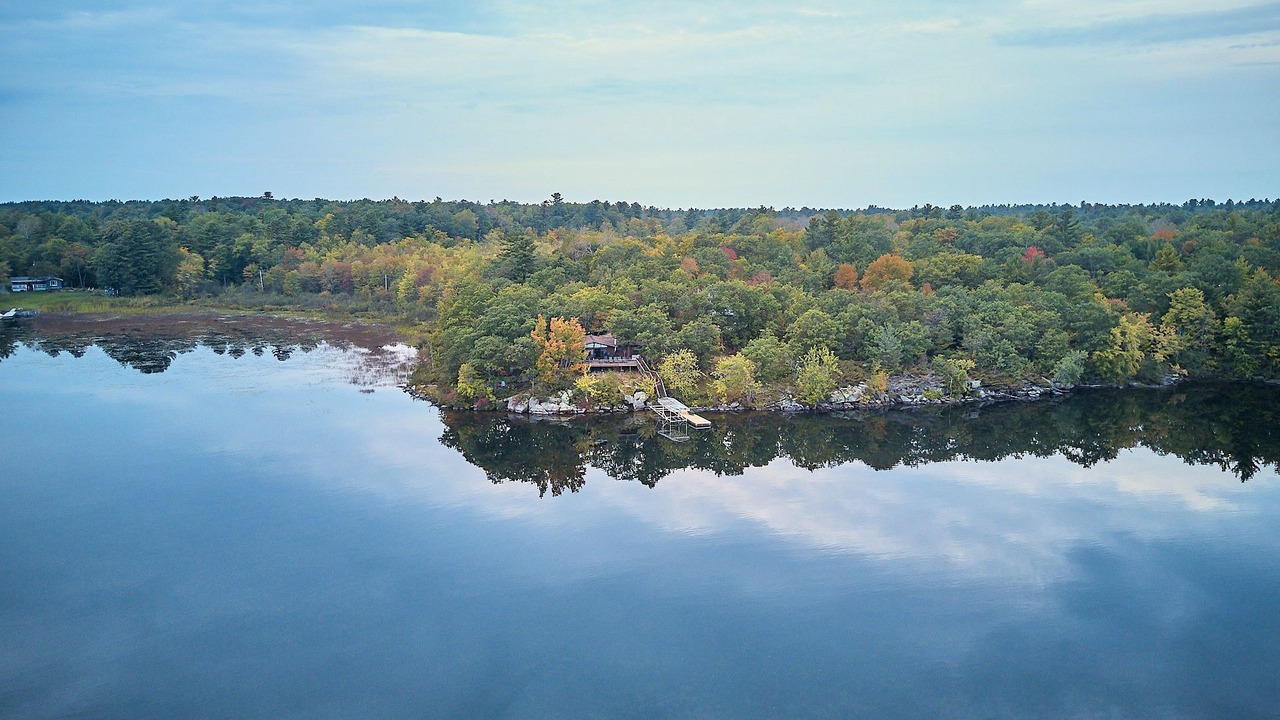 Photo of Others in Severn