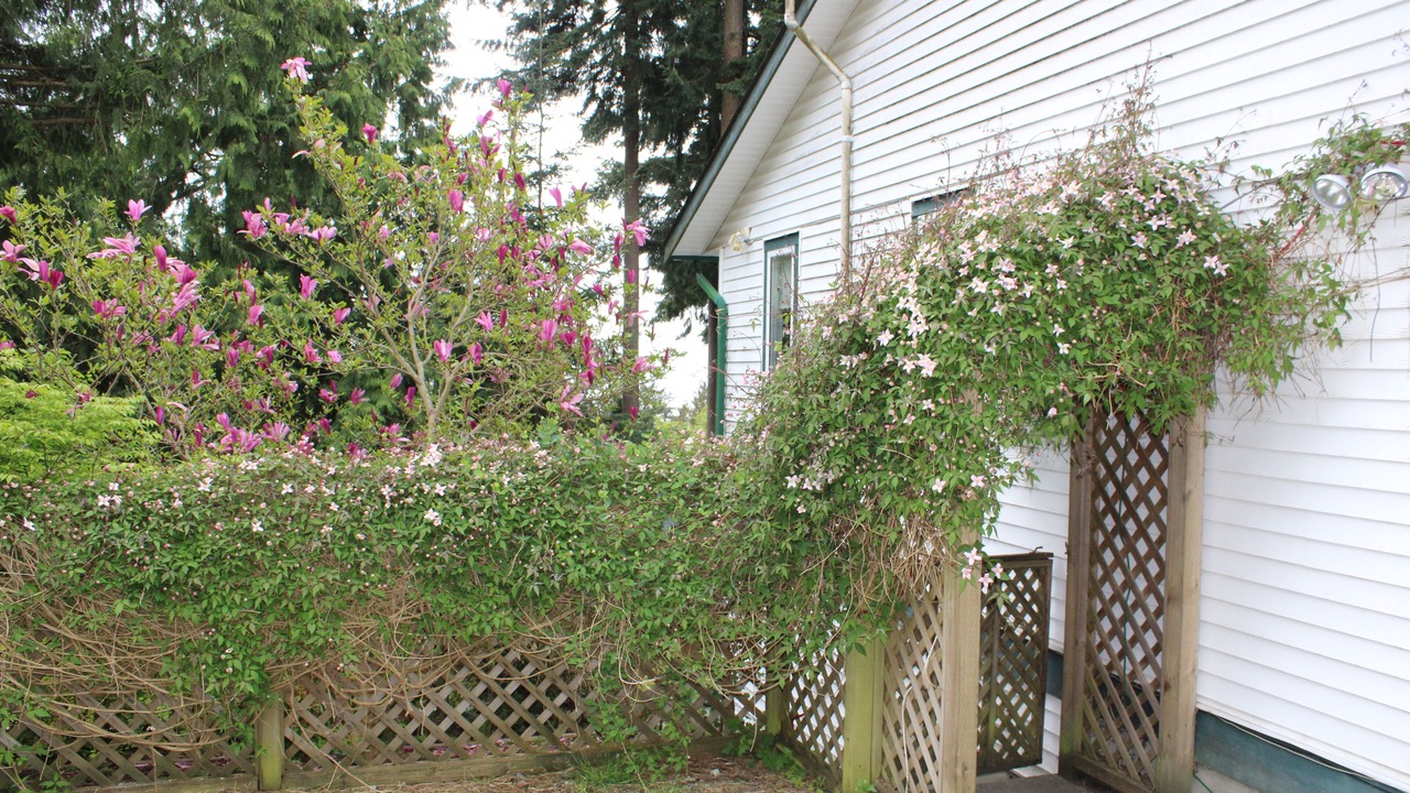 Photo of Others in Gibsons