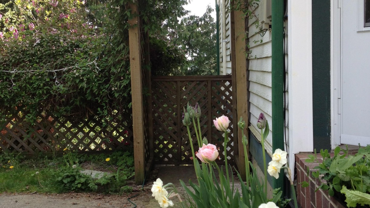 Photo of Outdoor in Gibsons