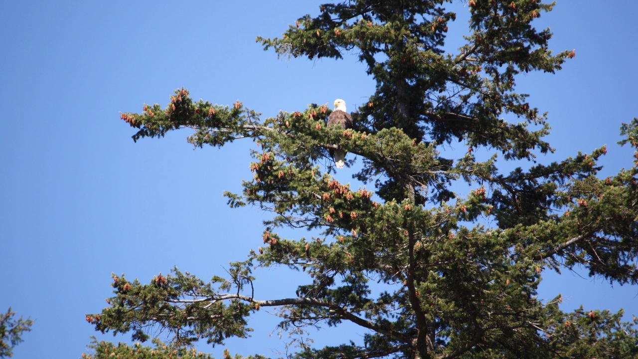 Photo of Others in Gibsons