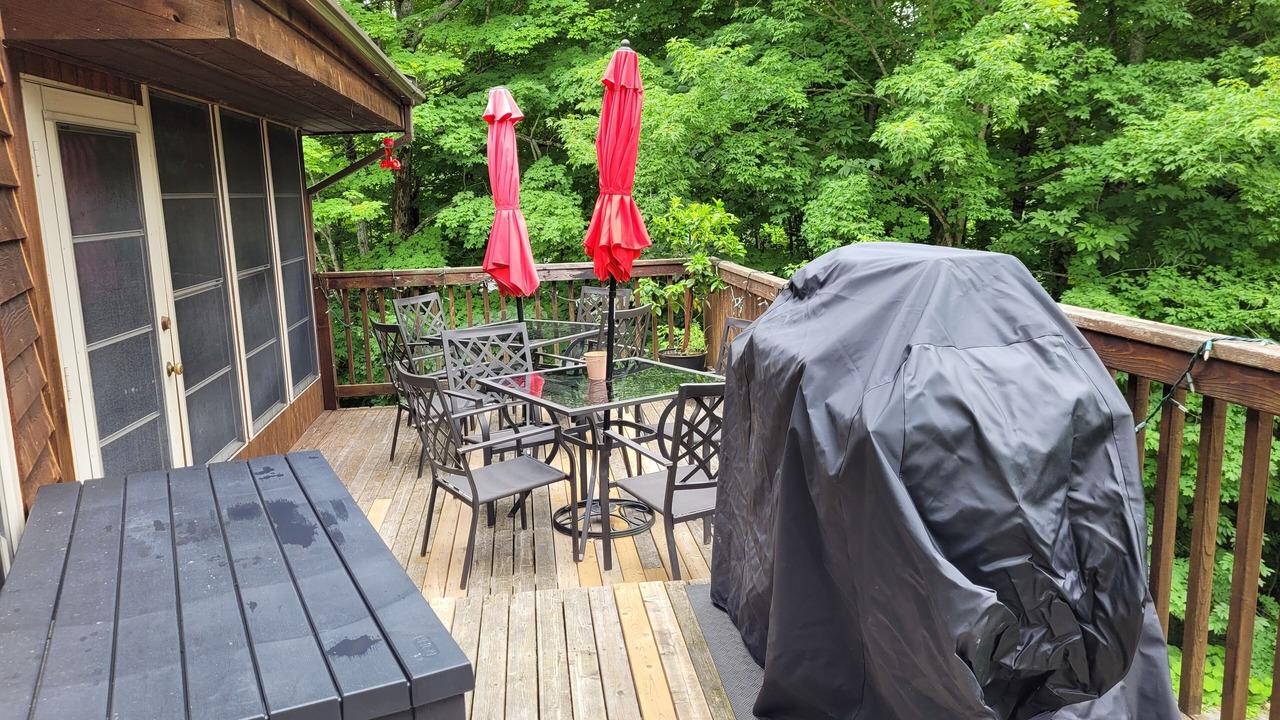 Photo of Outdoor in Severn