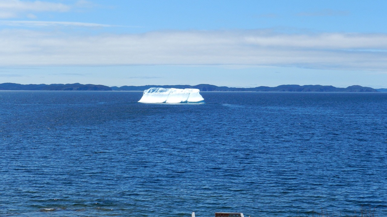Photo of Others in Crow Head