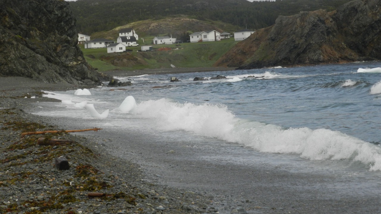 Photo of Others in Crow Head