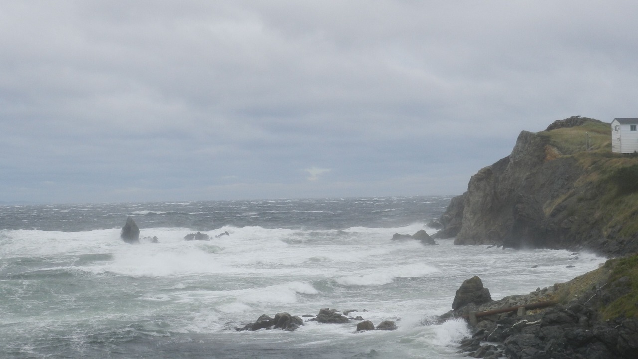 Photo of Others in Crow Head