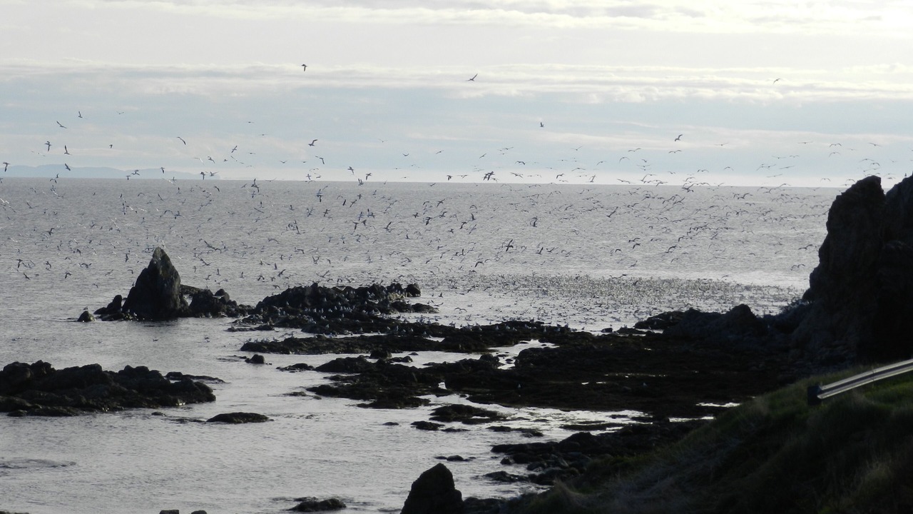 Photo of Others in Crow Head