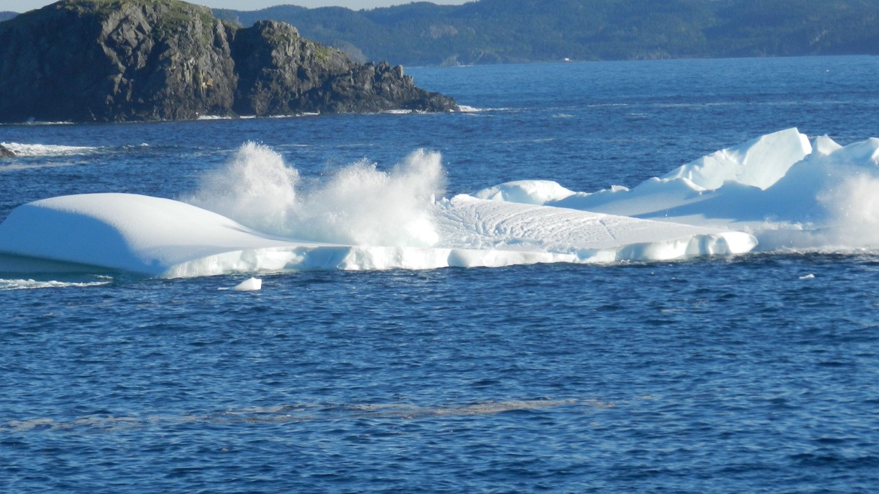 Photo of Others in Crow Head