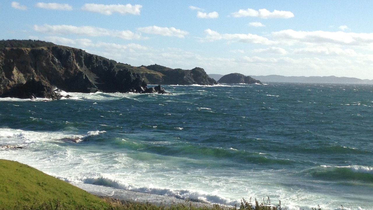 Photo of Others in Crow Head