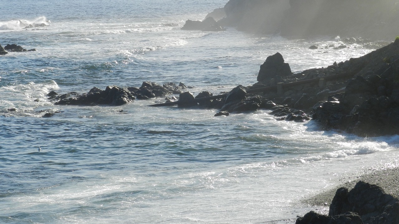 Photo of Others in Crow Head