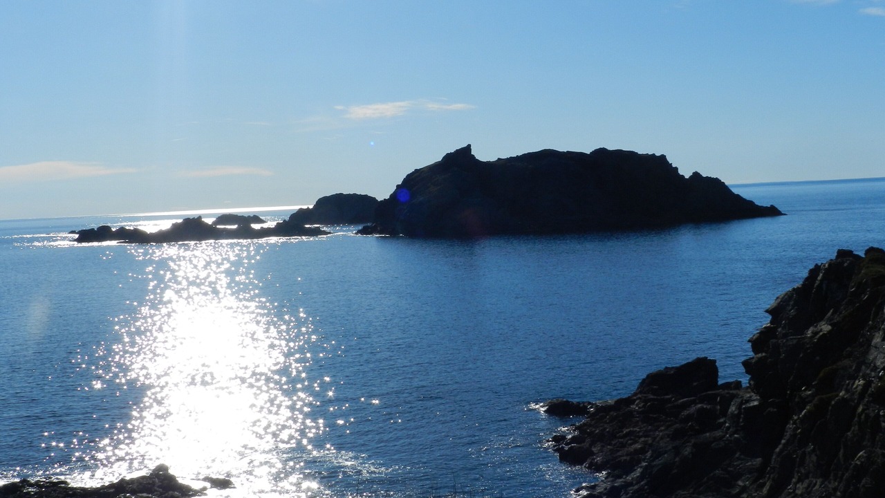 Photo of Others in Crow Head