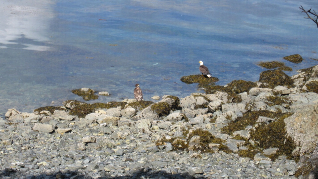 Photo of Others in Beachcomber