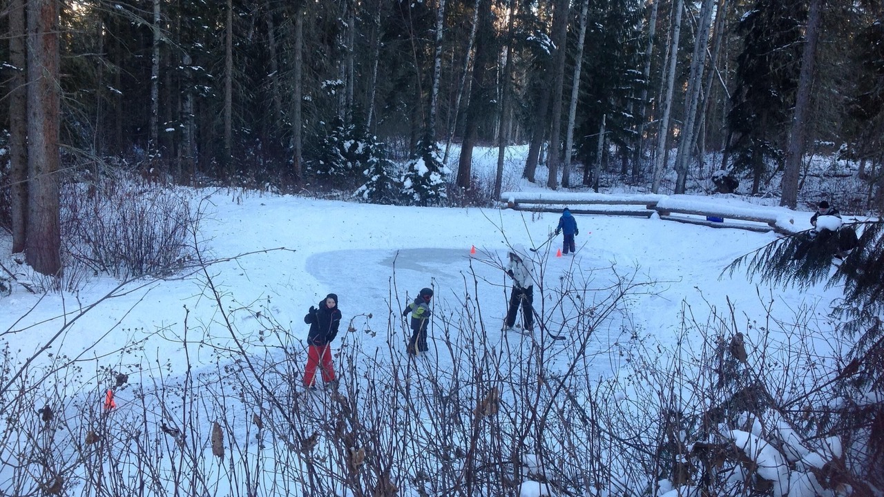 Photo of Others in Mount Robson
