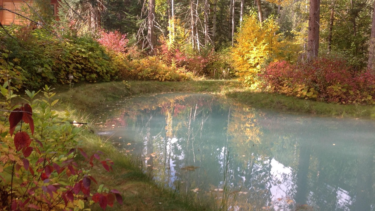 Photo of Others in Mount Robson