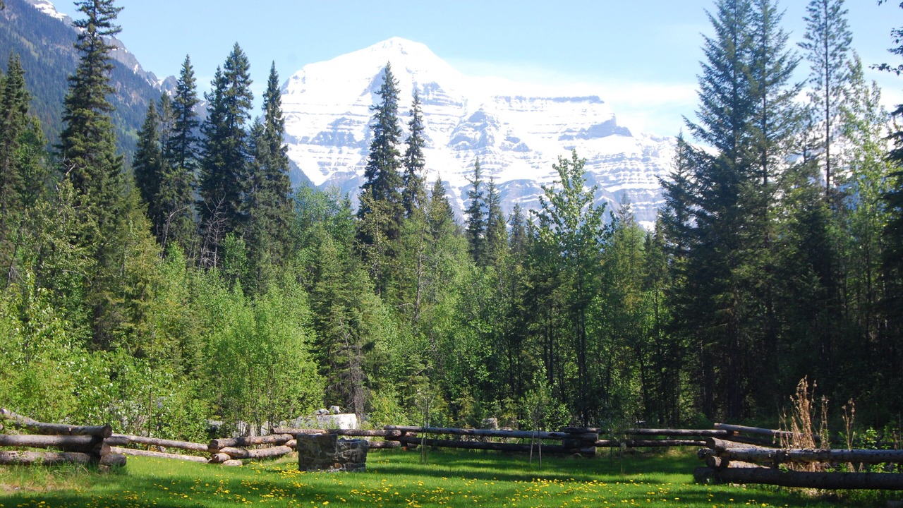 Photo of Others in Mount Robson