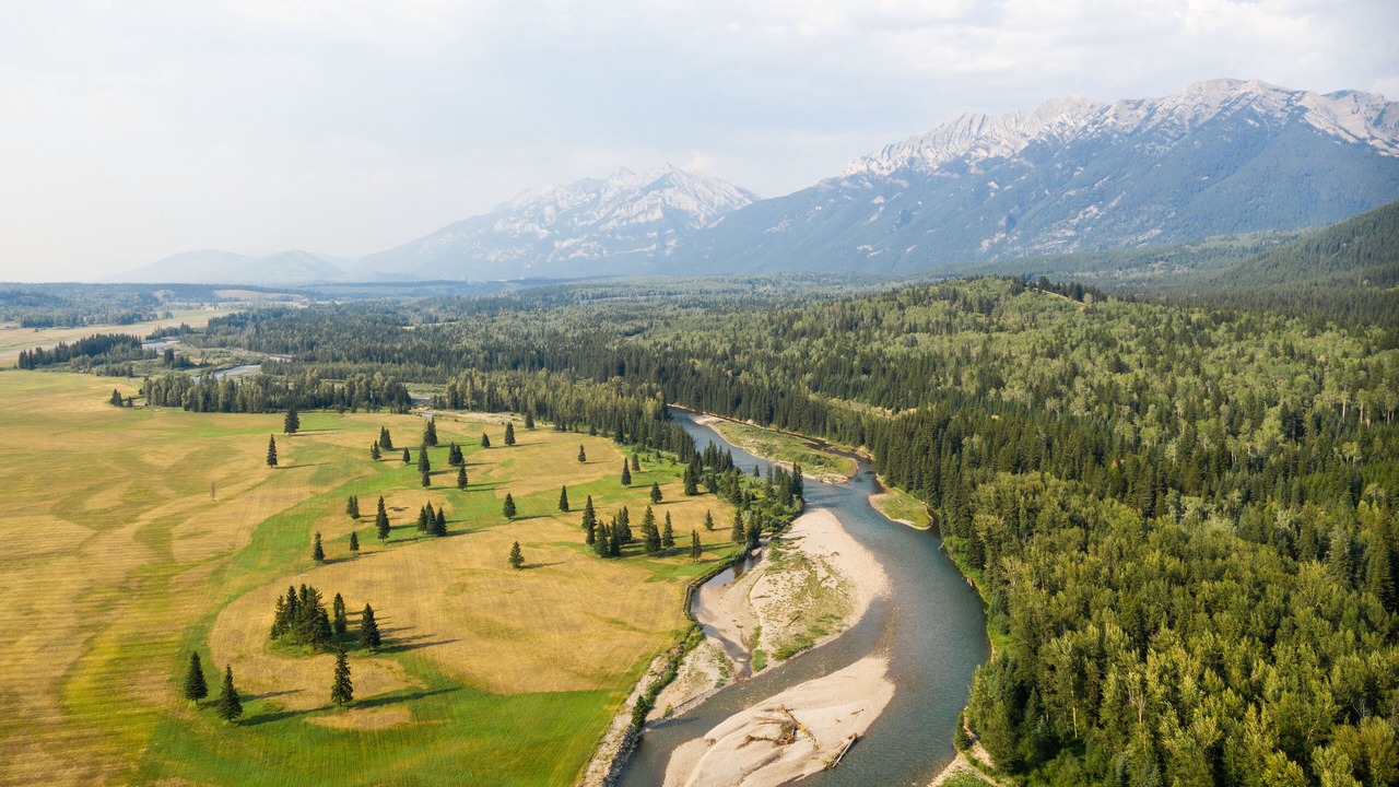 Photo of Others in East Kootenay