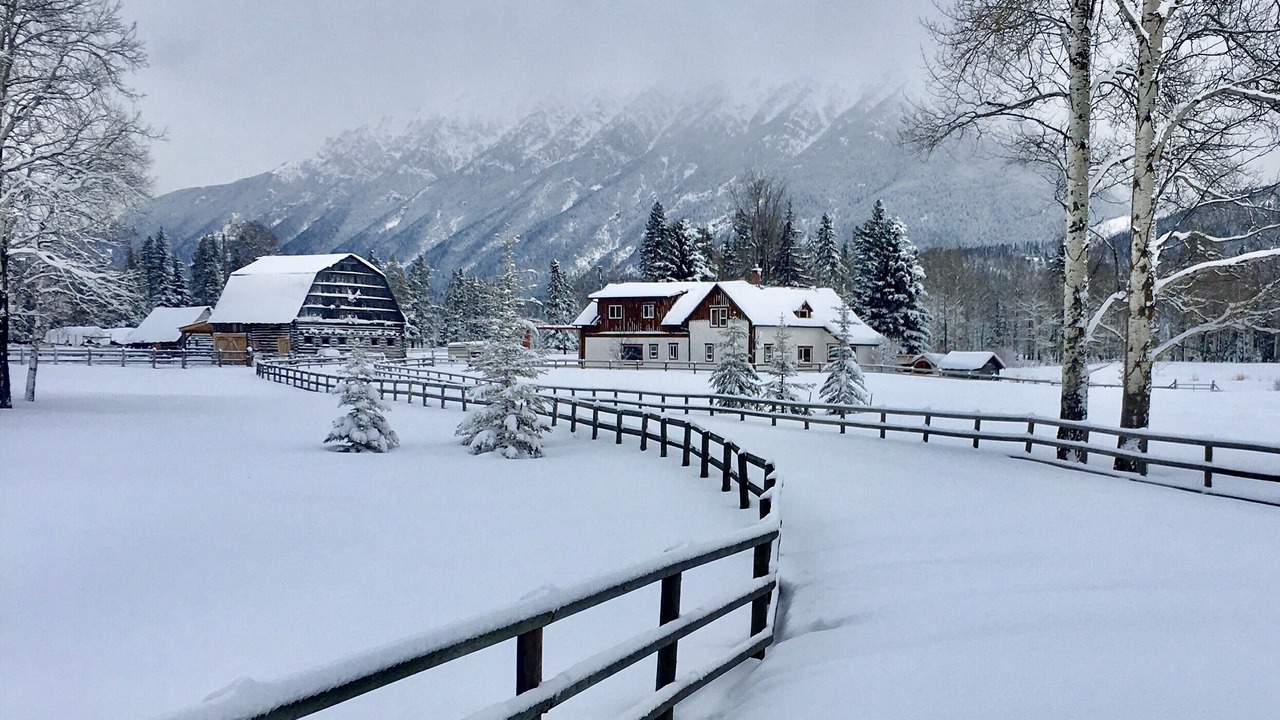Photo of Others in East Kootenay