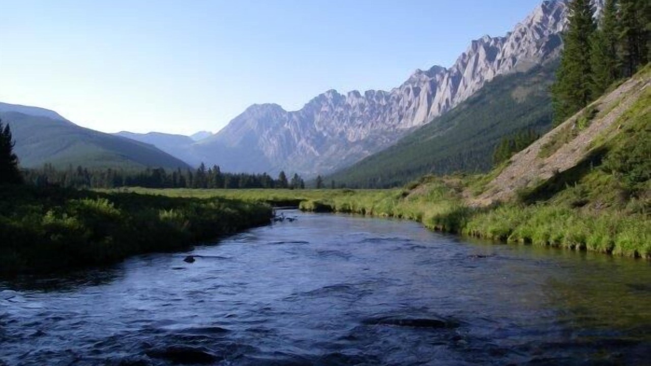Photo of Others in East Kootenay