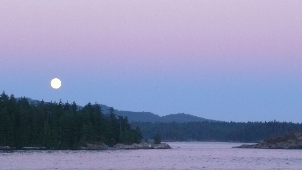 Photo of Others in Gibsons