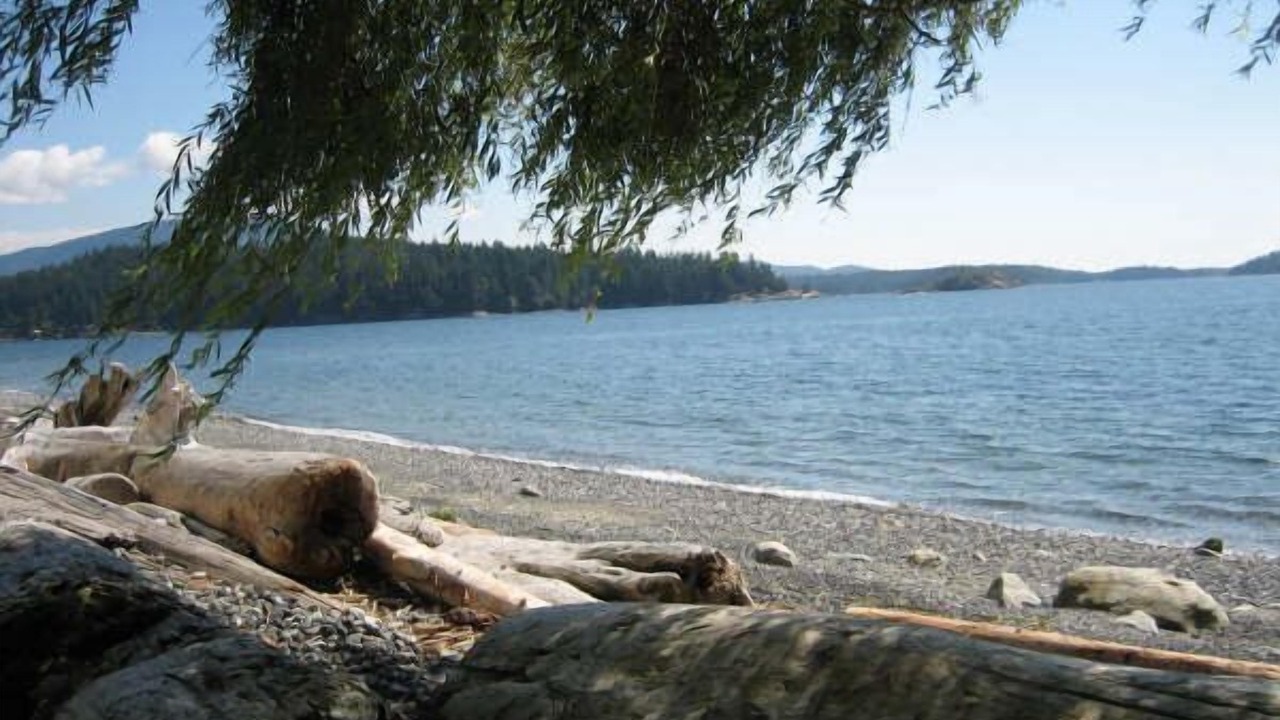 Photo of Others in Gibsons