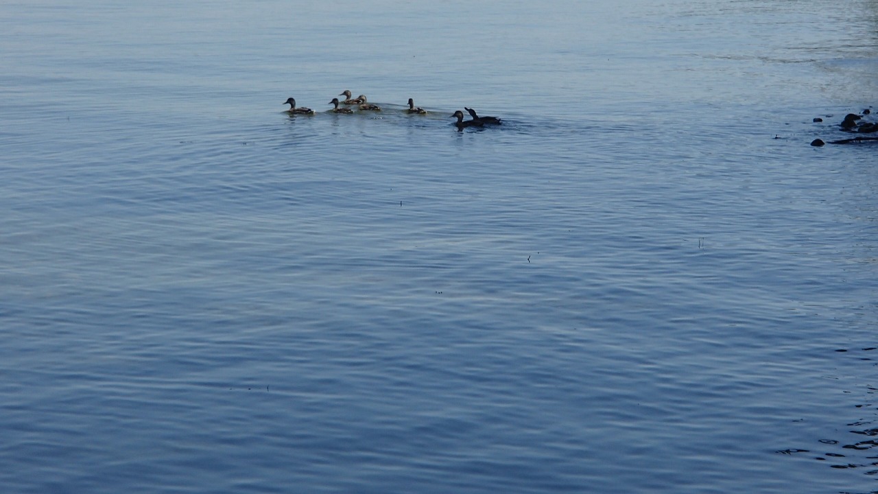 Photo of Others in Wellington