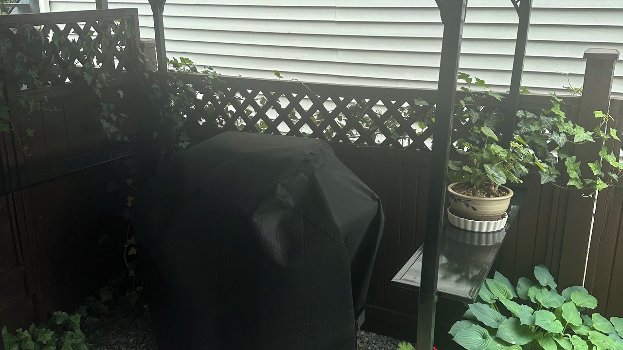 Photo of Outdoor in Coquitlam