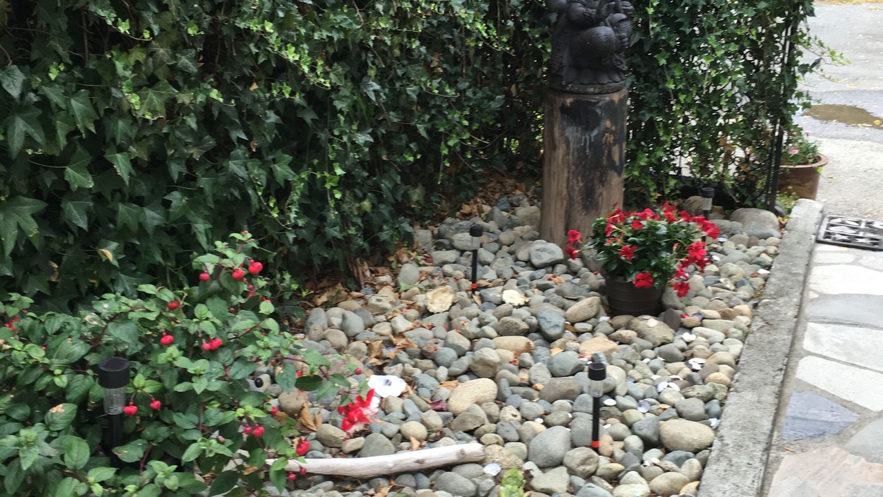 Photo of Outdoor in Colwood