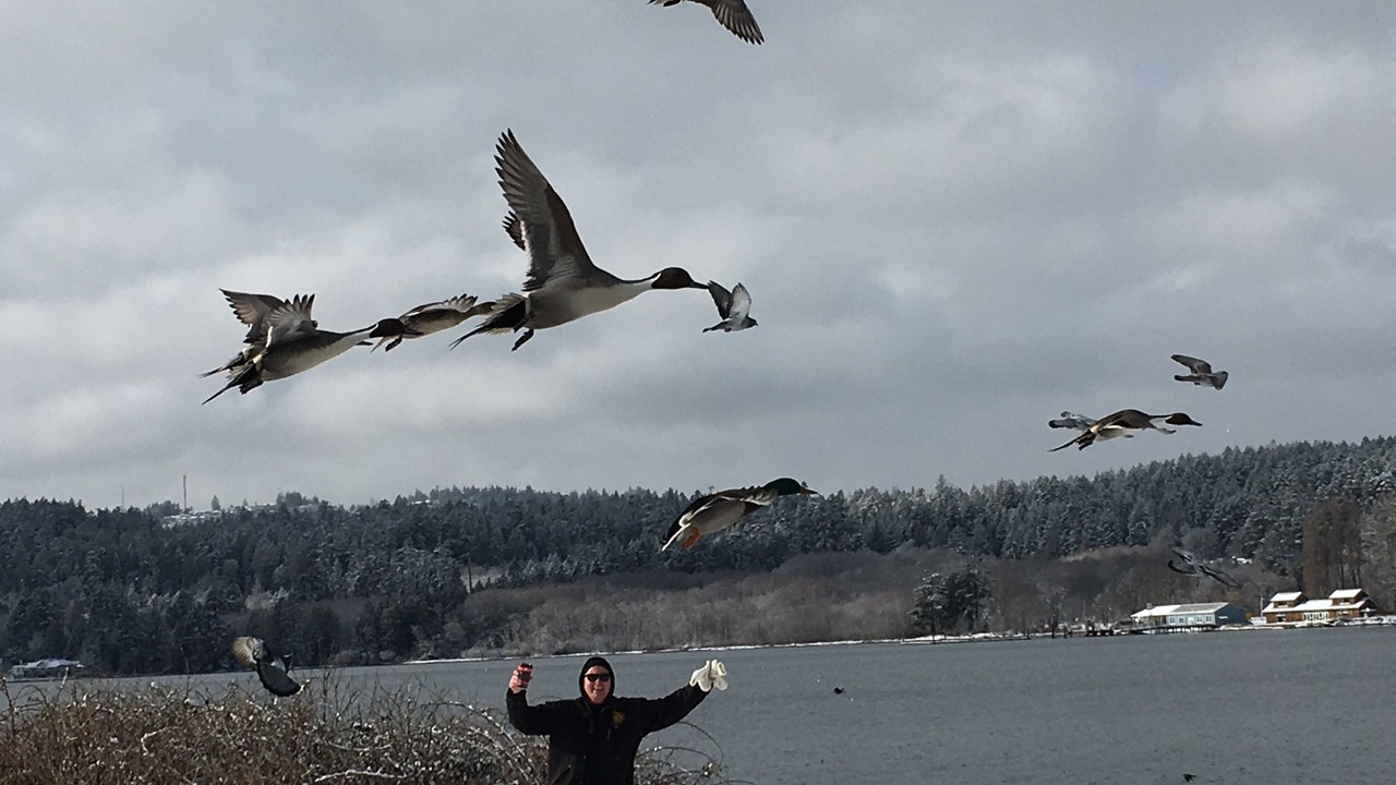 Photo of Others in Colwood