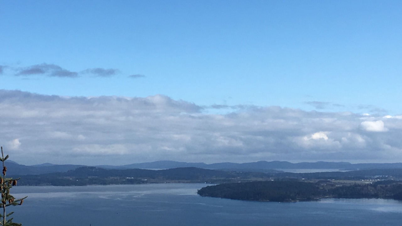 Photo of Others in Colwood