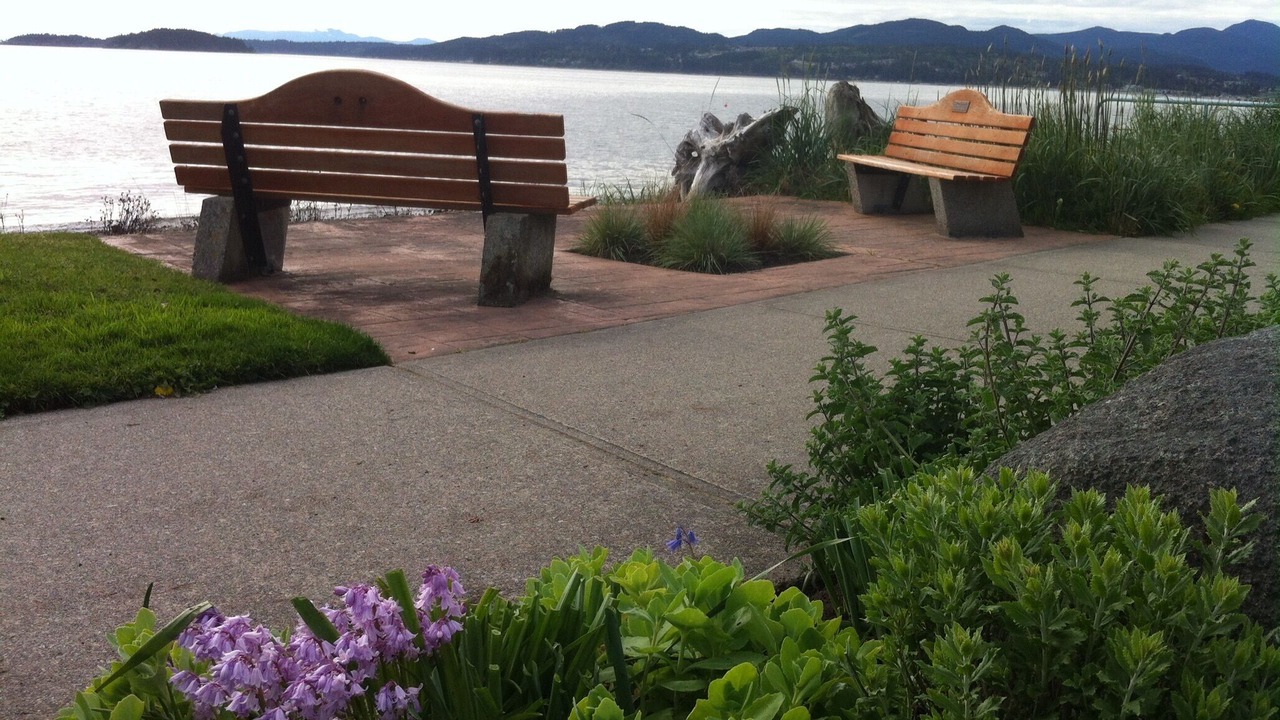 Photo of Others in Davis Bay