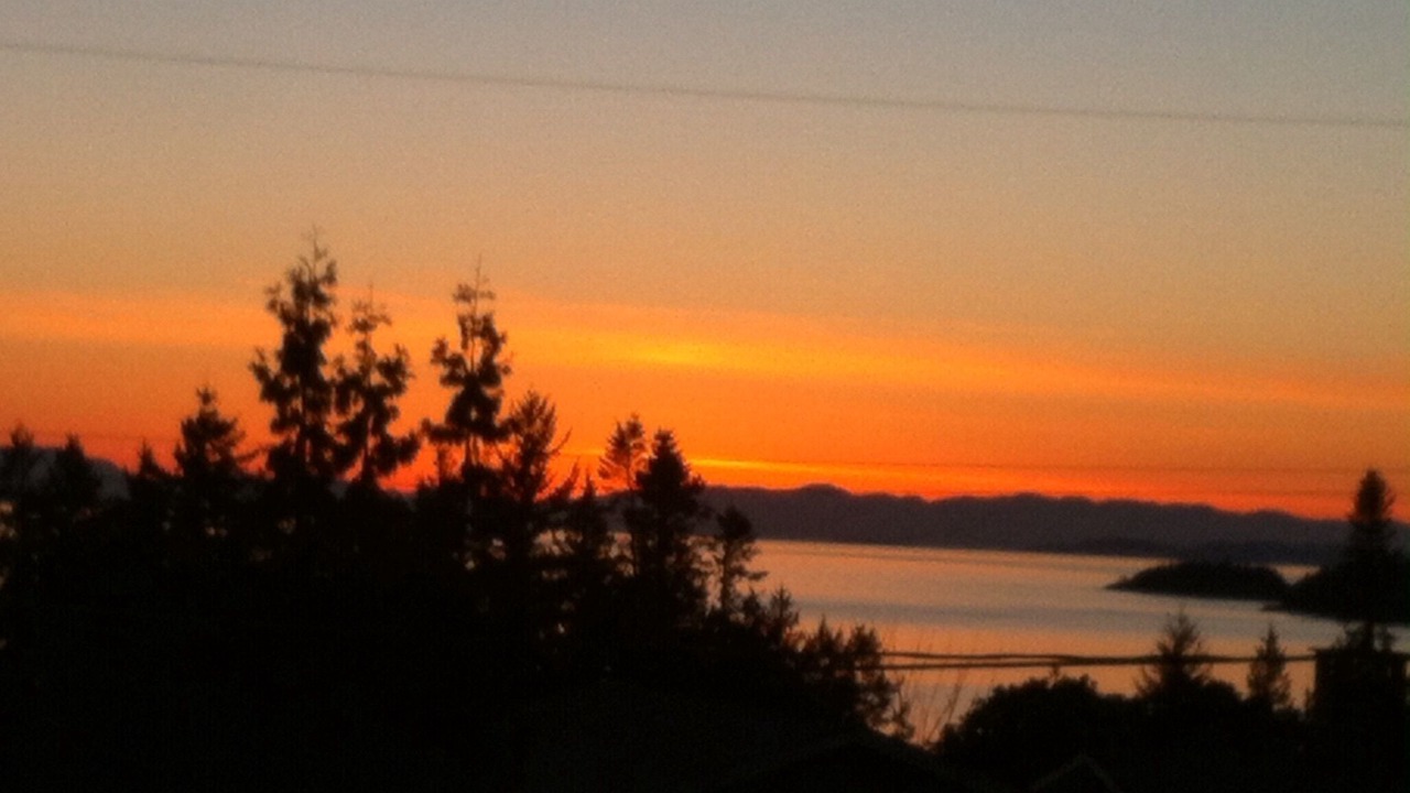 Photo of Others in Davis Bay