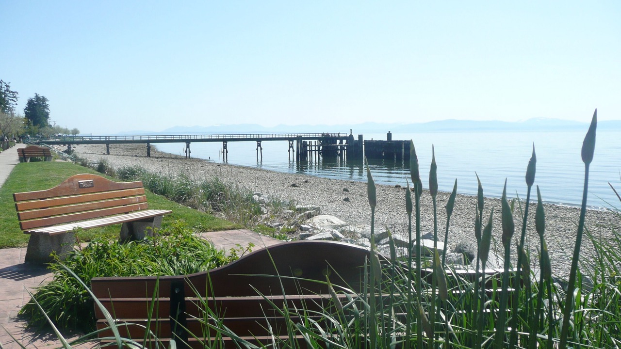 Photo of Others in Davis Bay