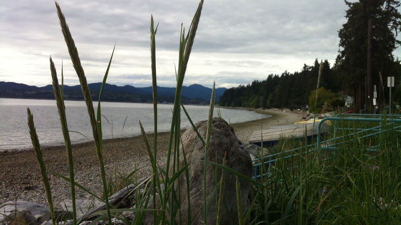 Photo of Others in Davis Bay