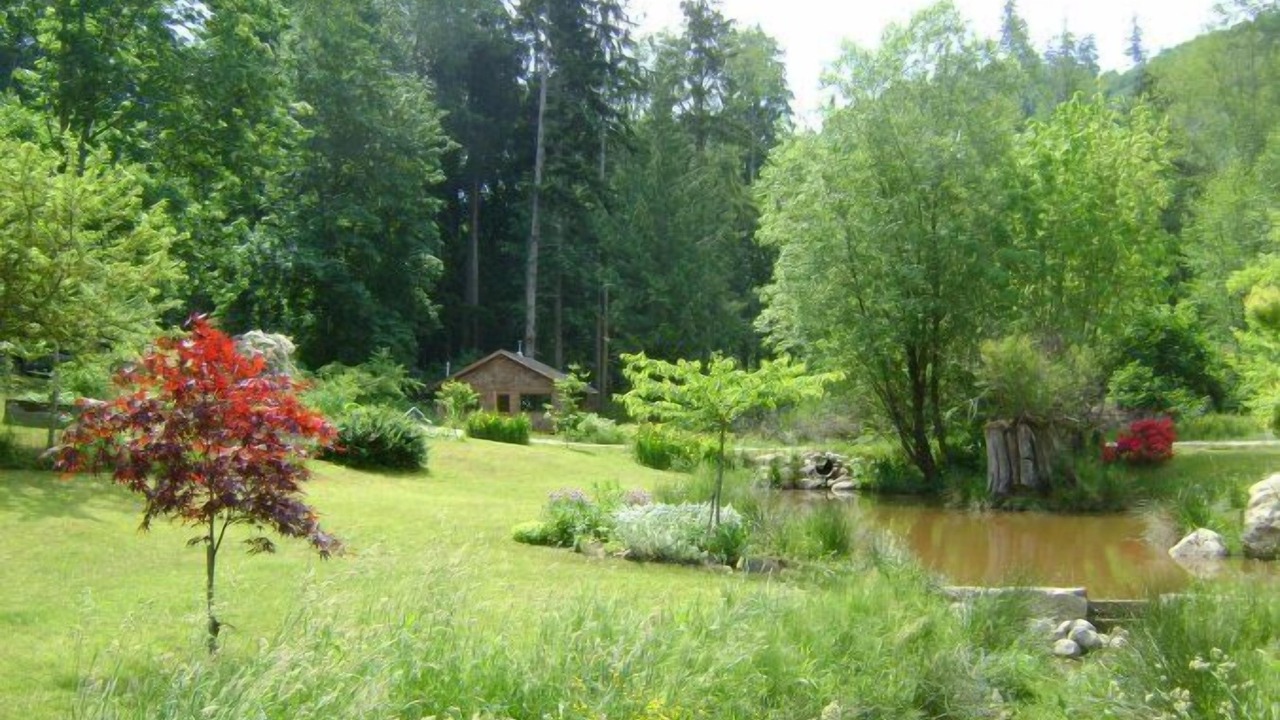 Photo of Outdoor in Powell River