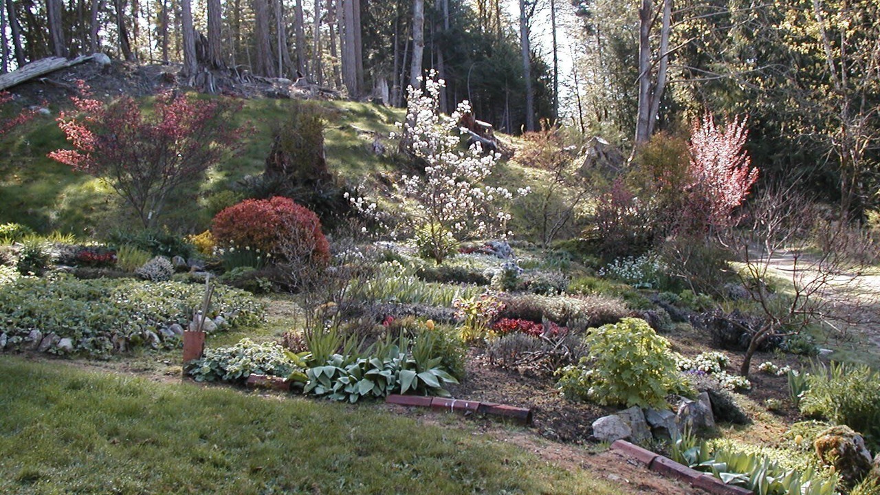 Photo of Outdoor in Powell River