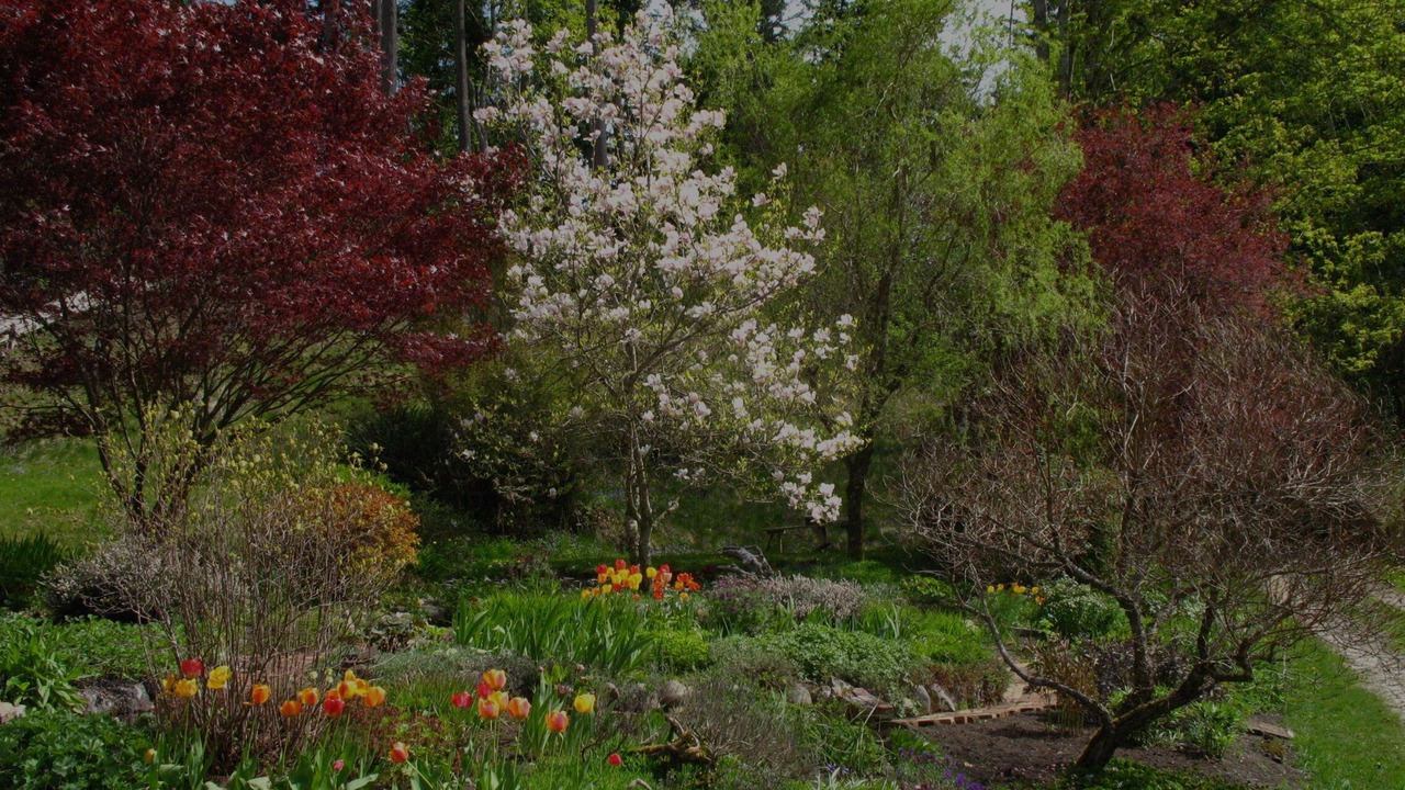 Photo of Outdoor in Powell River