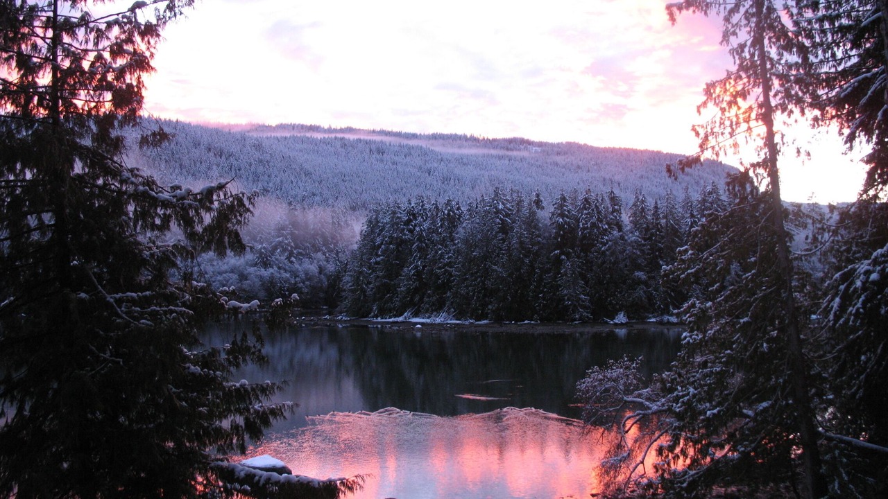 Photo of Others in Powell River