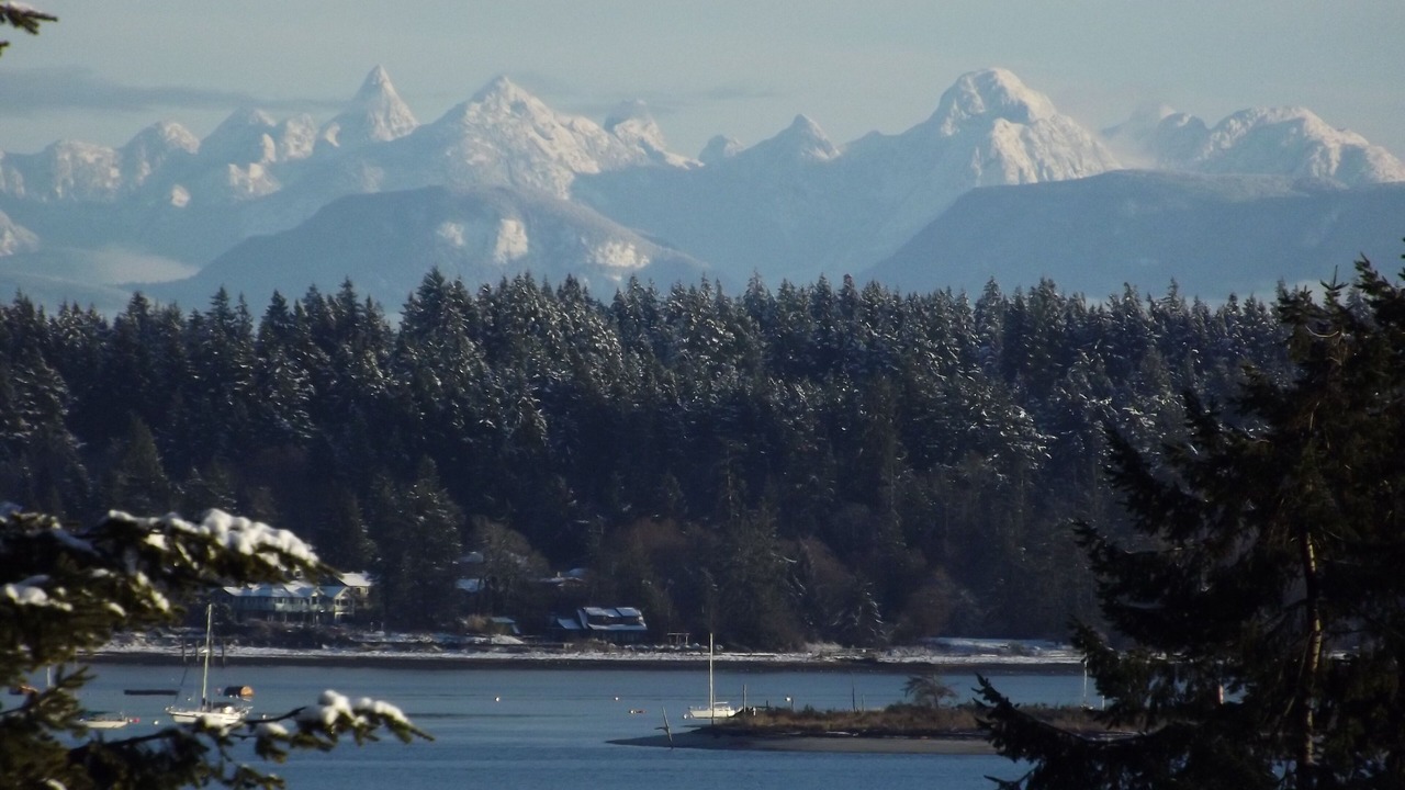 Photo of Others in Courtenay