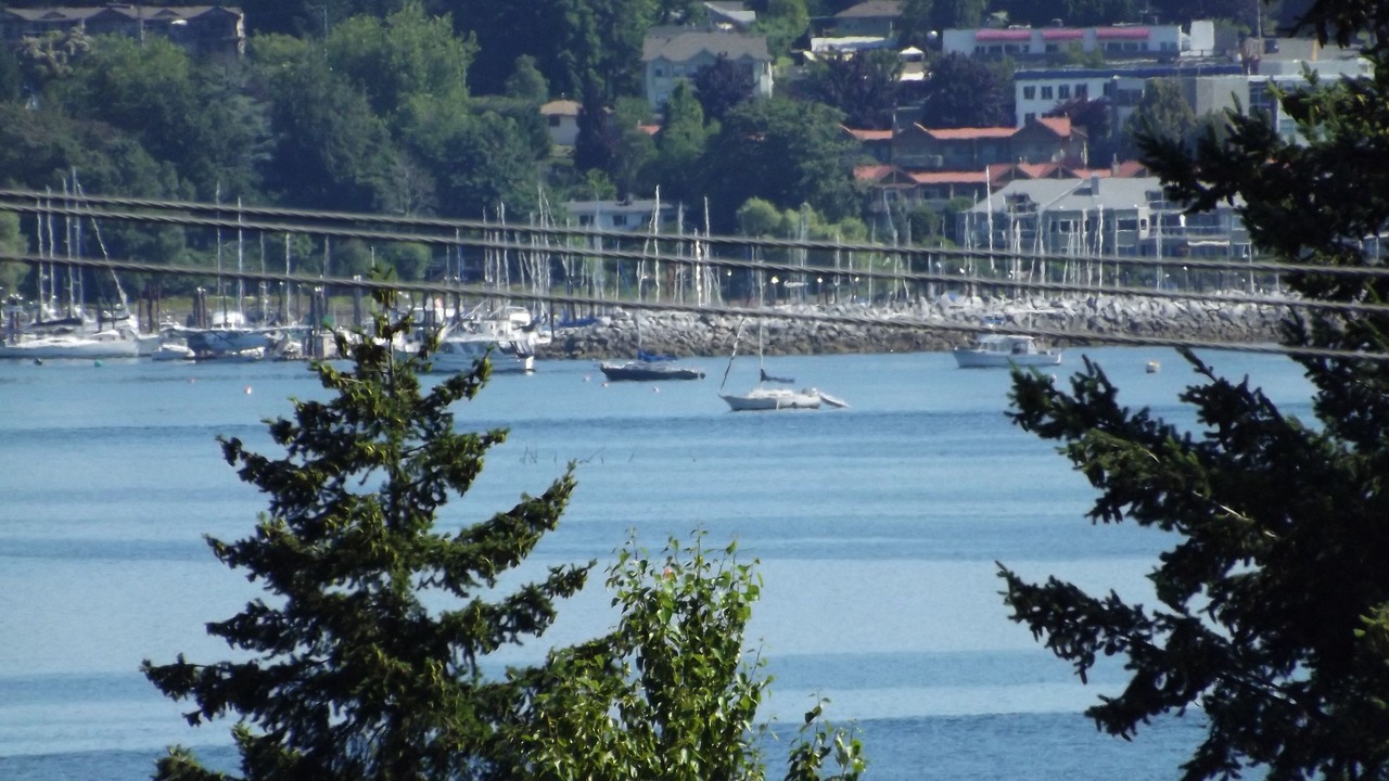 Photo of Others in Courtenay