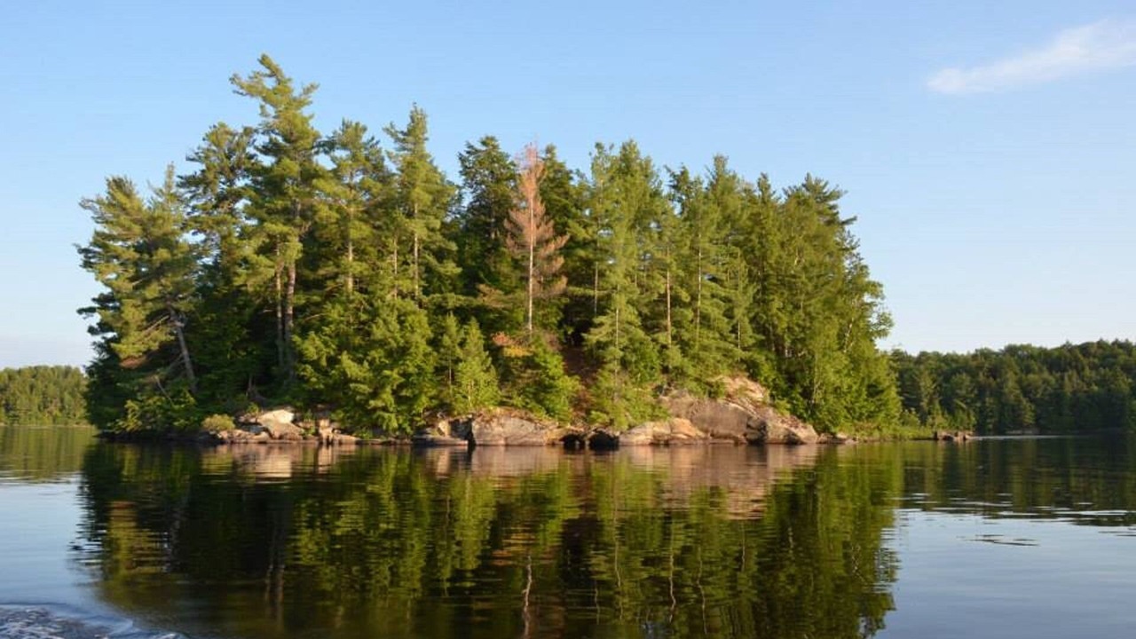 Photo of Others in Port Loring
