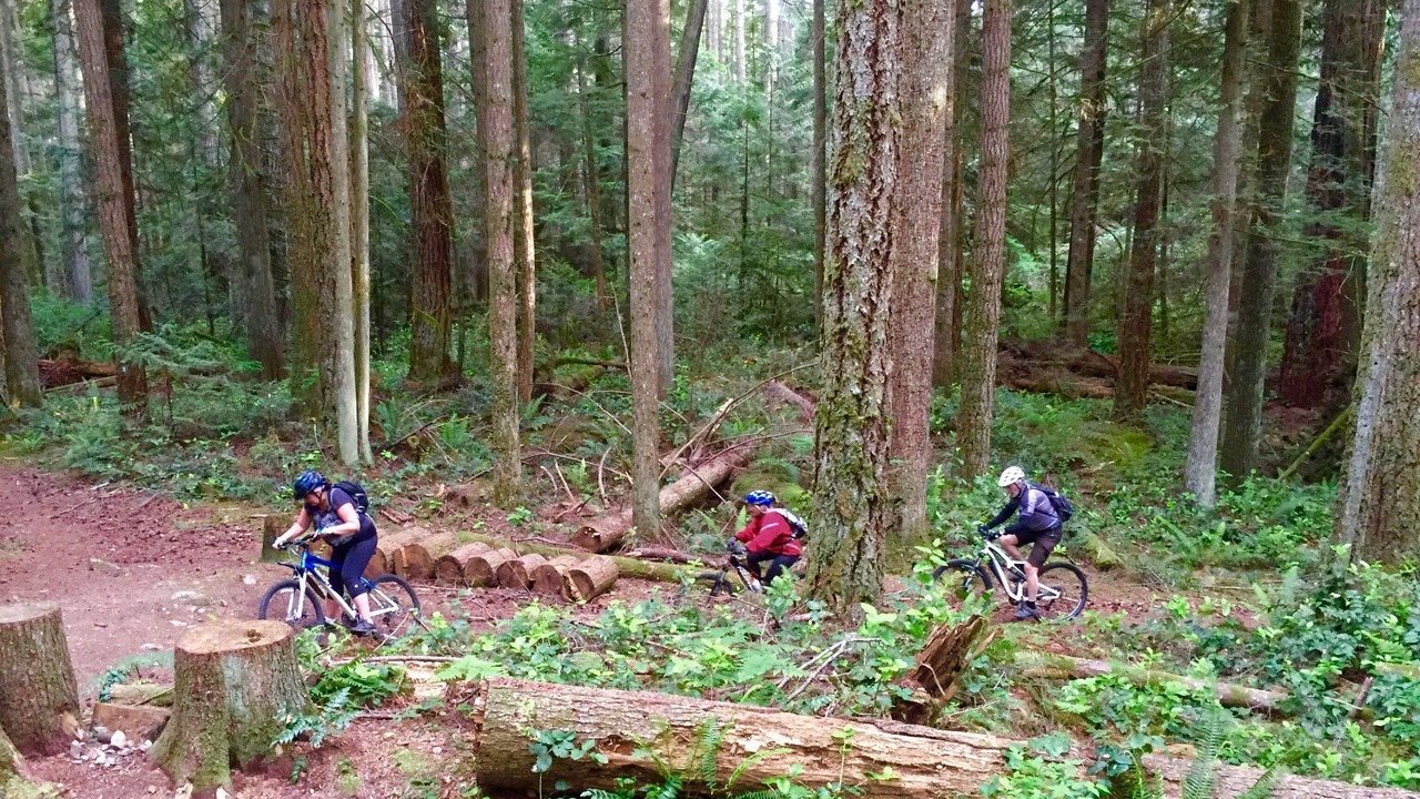 Photo of Others in West Sechelt