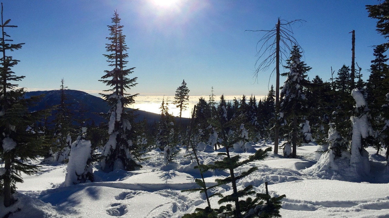 Photo of Others in West Sechelt
