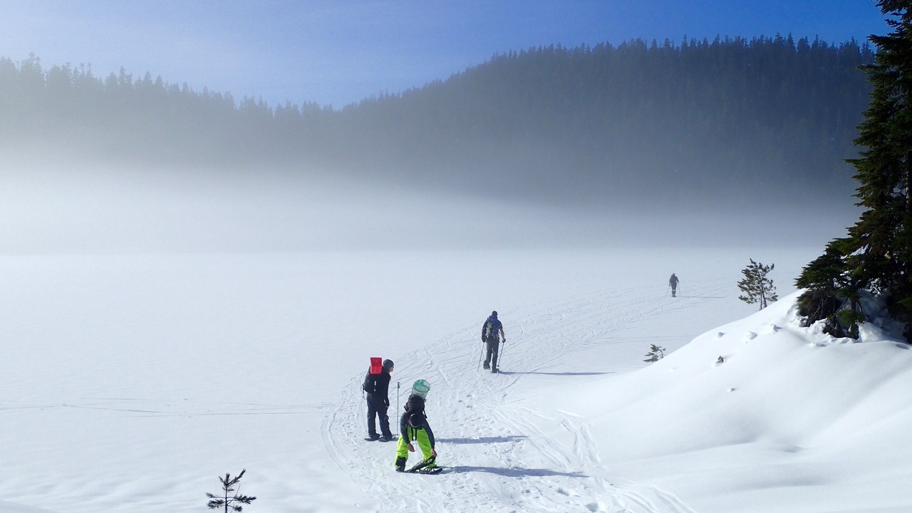Photo of Outdoor in West Sechelt