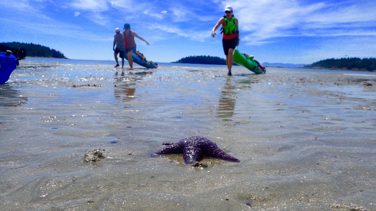 Photo of Others in West Sechelt