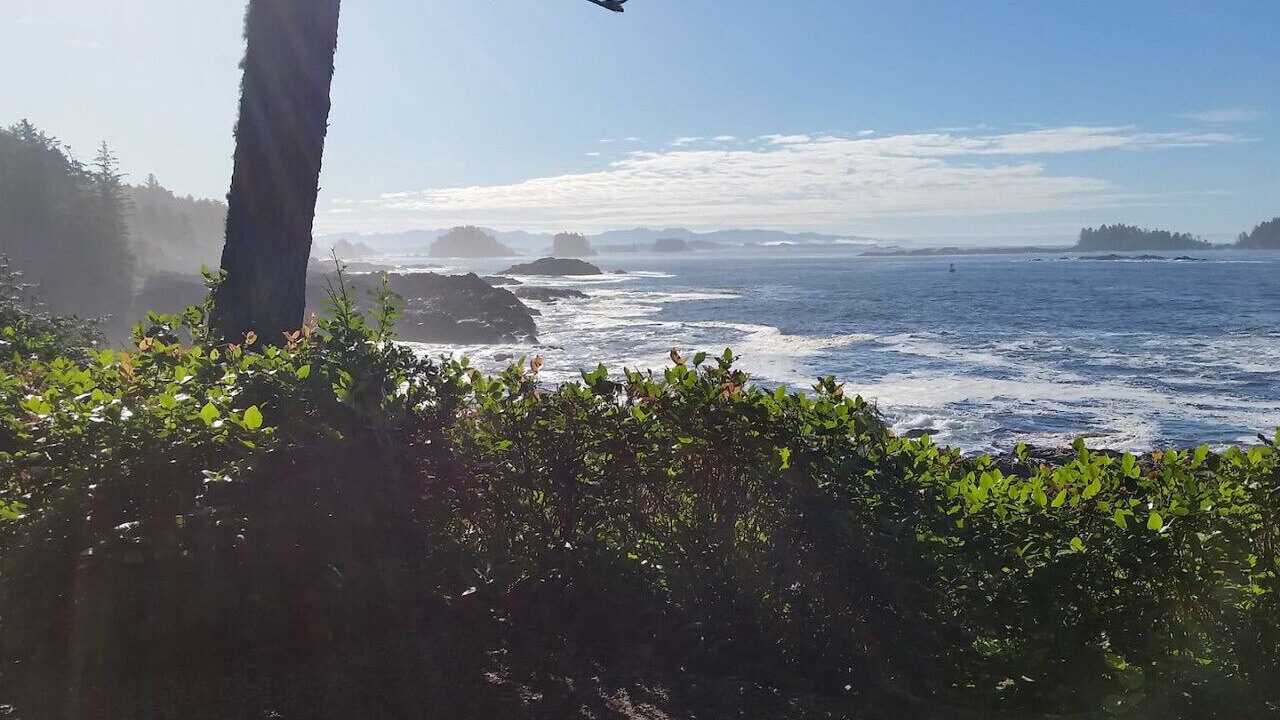 Photo of Others in Ucluelet