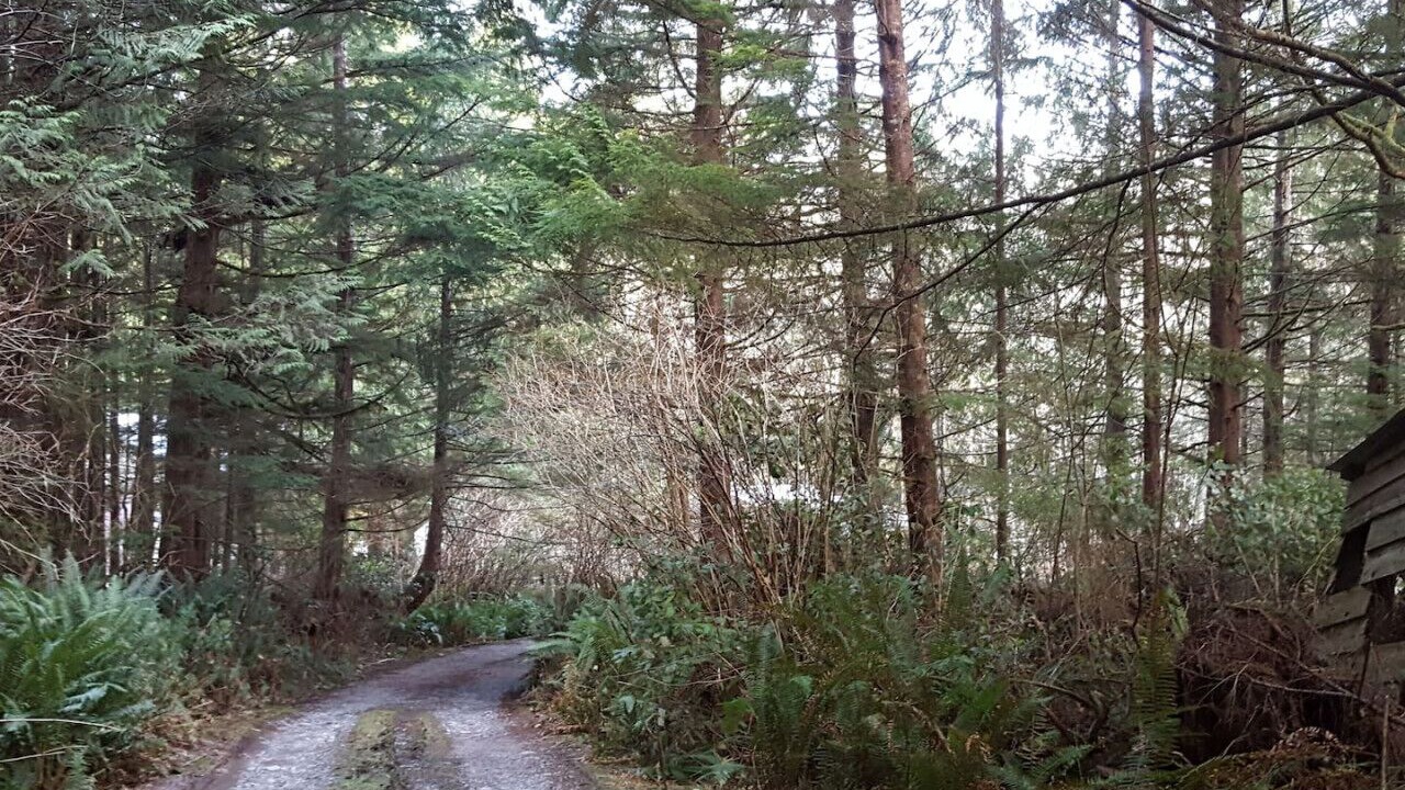 Photo of Others in Ucluelet